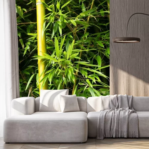 Papier peint  Bambou dans une forêt exotique