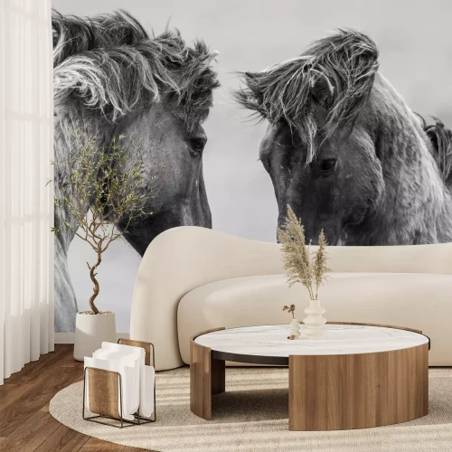 Papier peint  Portrait de chevaux gris