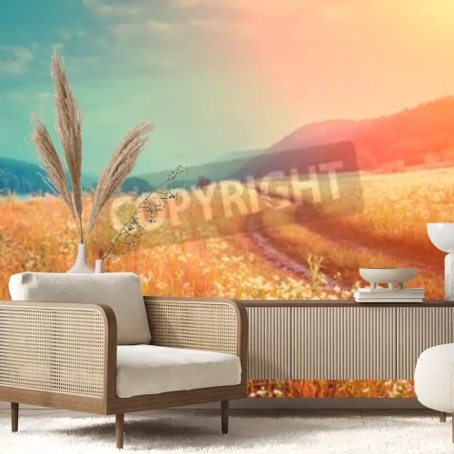 Papier peint  Lever de soleil sur une prairie