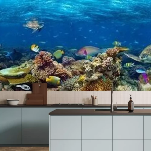 Papier peint  Panorama d'un récif corallien dans l'océan