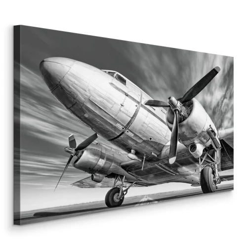 Tableau  Avion historique sur la piste