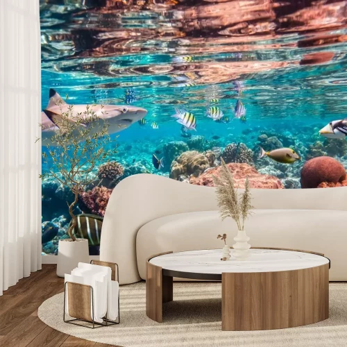 Papier peint  Requins, poissons et récifs coralliens