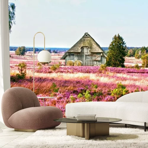 Papier peint  Champs de fleurs un chalet au milieu