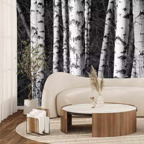 Papier peint  Photographie noir et blanc de troncs de bouleau