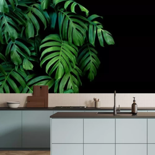 Papier peint  Faune de la jungle sur fond noir