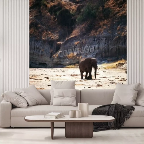 Papier peint  Eléphant sur fond d'une montagne