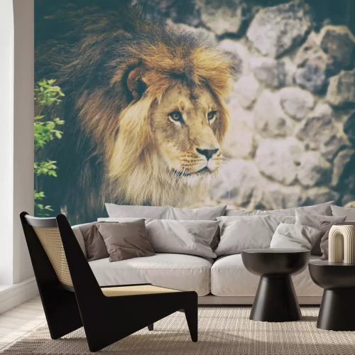 Papier peint  Mur de brique avec un lion