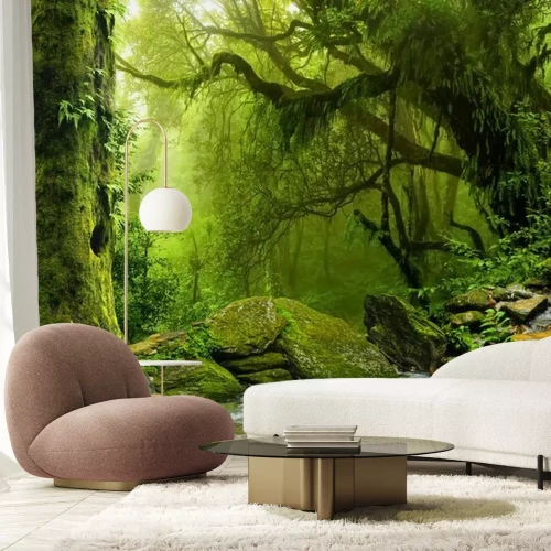 Papier peint  Jungle verte et un ruisseau