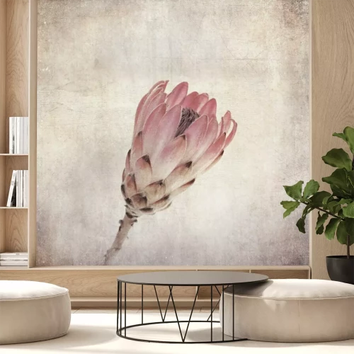 Papier peint  Photo vieillie style shabby chic