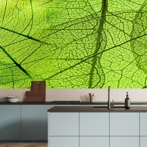 Papier peint  Structure foliaire agrandie