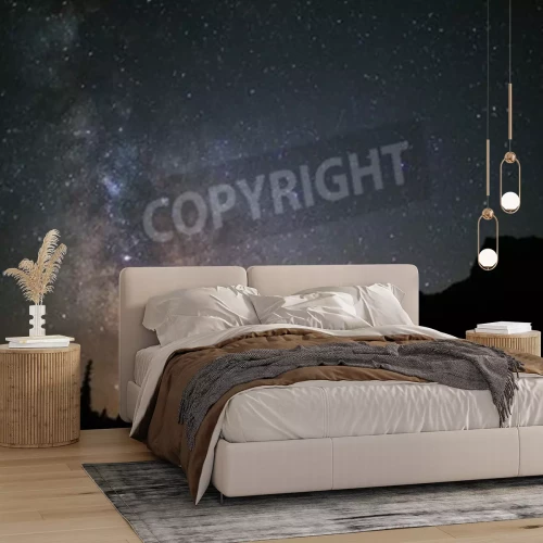 Papier peint  Montagnes et forêts sous un ciel étoilé