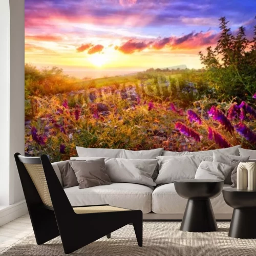Papier peint  Lever de soleil et un champ de fleurs