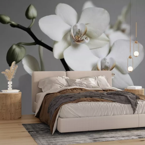 Papier peint  Orchidées blanches rétro sur fond gris
