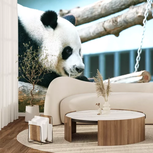 Papier peint  Panda sur les branches