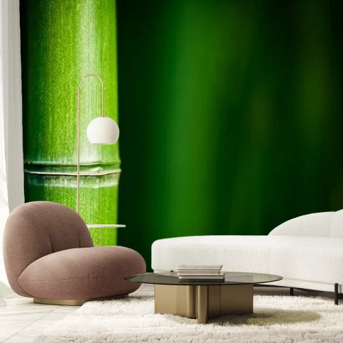 Papier peint  Macro de bambou