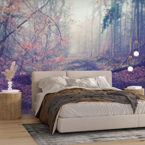 Papier peint  Route à travers une forêt brumeuse