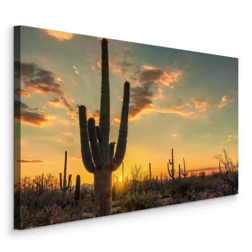 Tableau  Coucher de soleil sur le désert avec des cactus