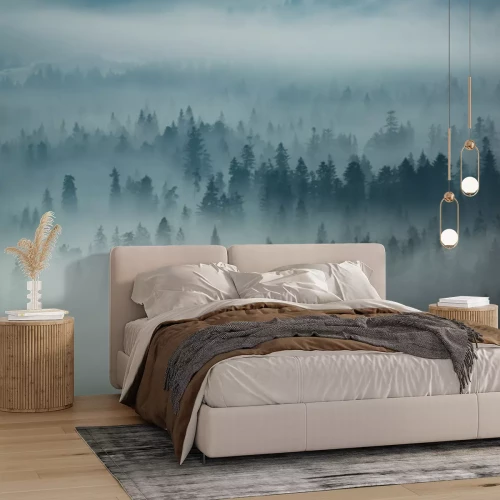 Papier peint  Montagnes Tatra et bois en brouillard, Zakopane, Pologne