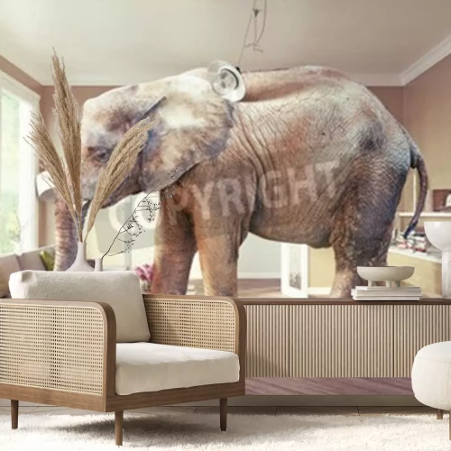 Papier peint  Eléphant 3D dans une chambre