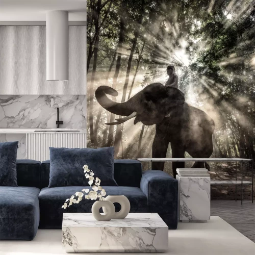 Papier peint  Eléphant aux rayons de soleil