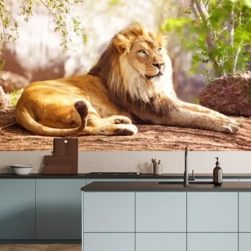 Papier peint  Lion au repos