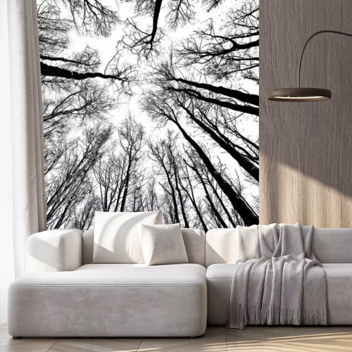 Papier peint  Nature en noir et blanc