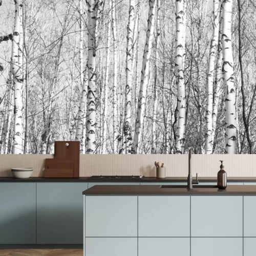 Papier peint  Forêt dense de bouleaux