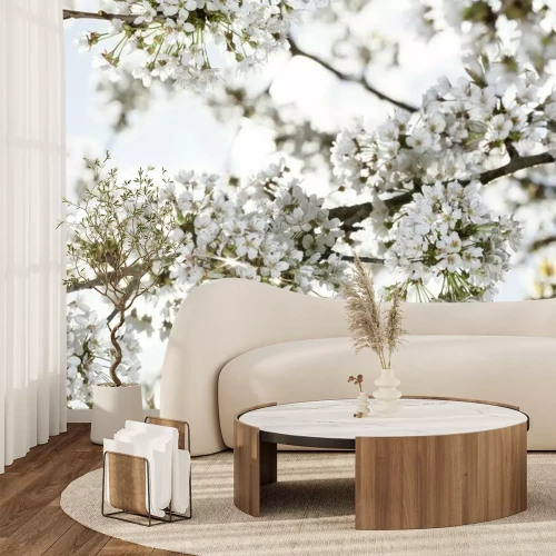 Papier peint  Fleurs de cerisier blanches