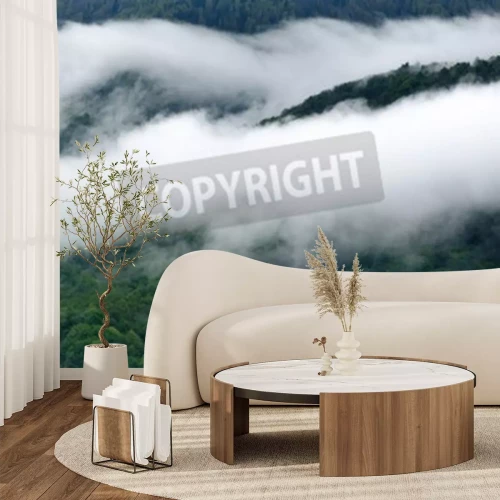 Papier peint  Des bandes denses de brouillard au-dessus de la forêt