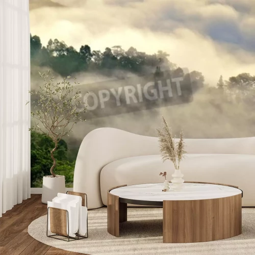 Papier peint  Brume matinale dans la forêt