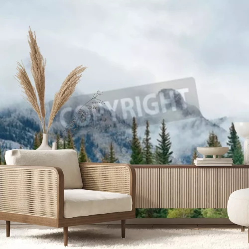 Papier peint  Pic enneigé dans la verdure