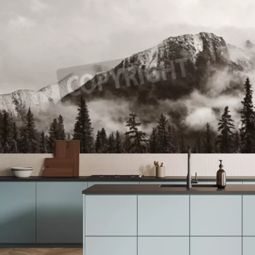 Papier peint  Pic de montagne entre les arbres