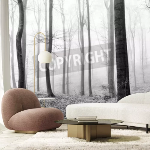 Papier peint  Troncs d'arbres solitaires