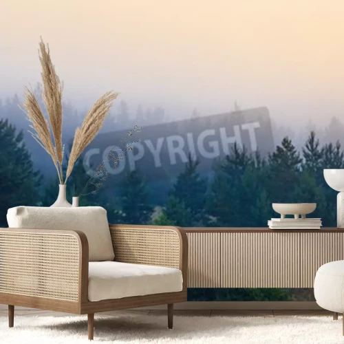 Papier peint  Petits conifères entourés de brume