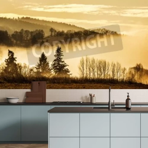 Papier peint  Silhouettes d'arbres sur une brume jaune