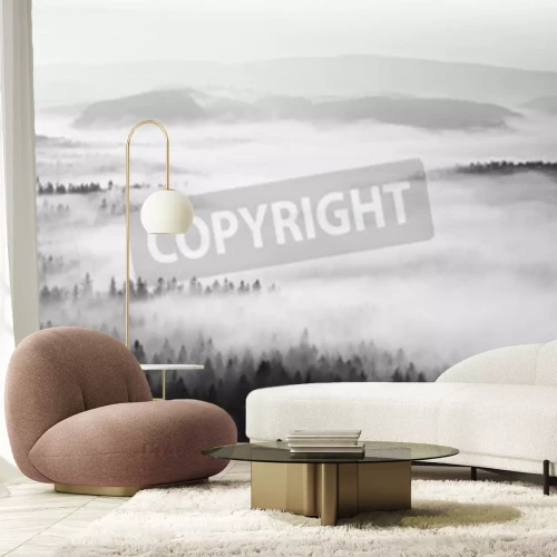 Papier peint  Forêt brumeuse monochrome