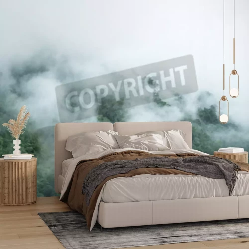 Papier peint  Brume sur le sol de la forêt