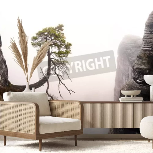 Papier peint  Arbre au-dessus d'une falaise