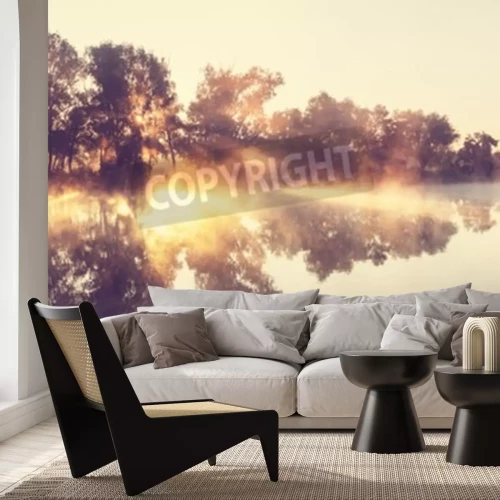 Papier peint  L'ombre des arbres au bord de la rivière