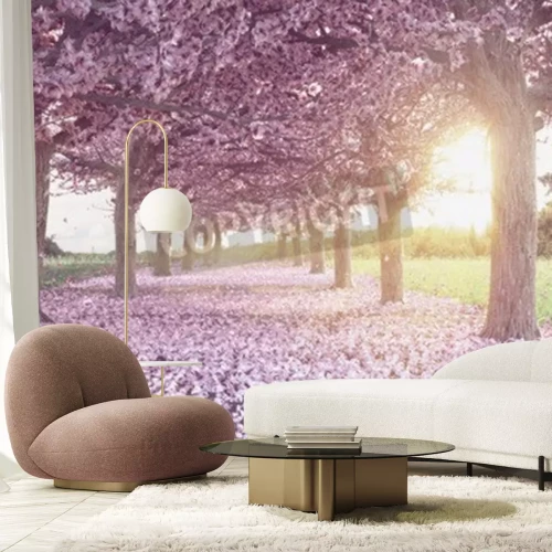 Papier peint  Arbre avec des fleurs roses