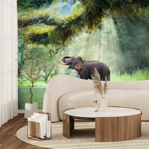 Papier peint  Eléphant dans la jungle