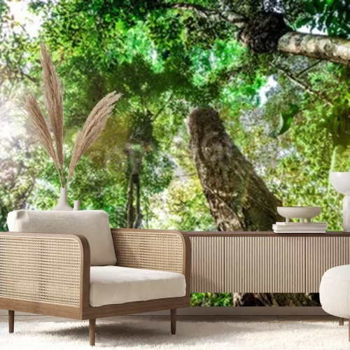 Papier peint  Arbres de la jungle tropicale