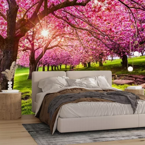 Papier peint  Arbres à cerises roses