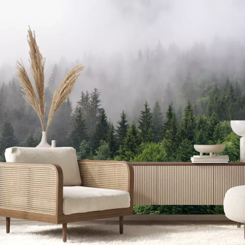 Papier peint  La nature et la cime des arbres dans le brouillard