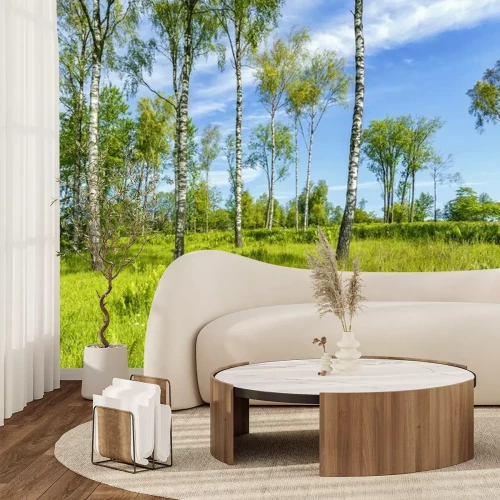 Papier peint  Prairie et bouleaux