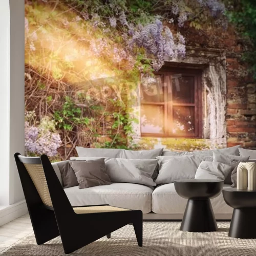 Papier peint  Matinée dans une vieille maison déserte