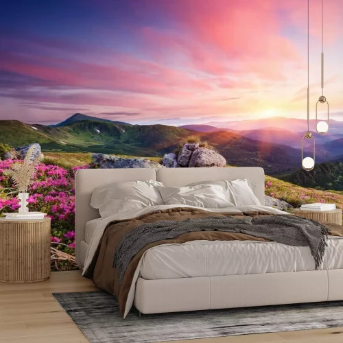 Papier peint  Paysage d'été avec des fleurs dans les montagnes