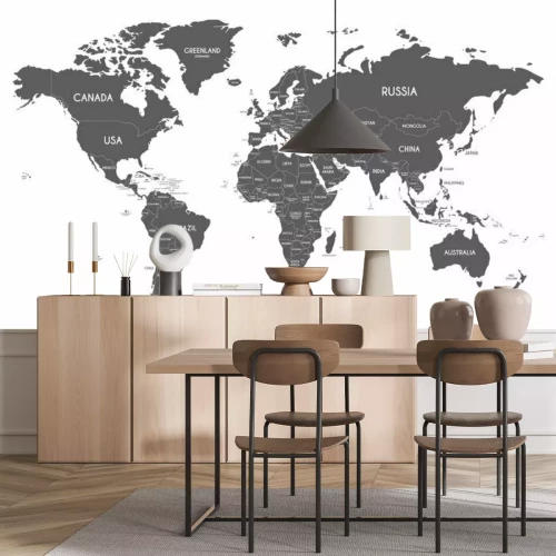 Papier peint  Carte politique du monde en gris