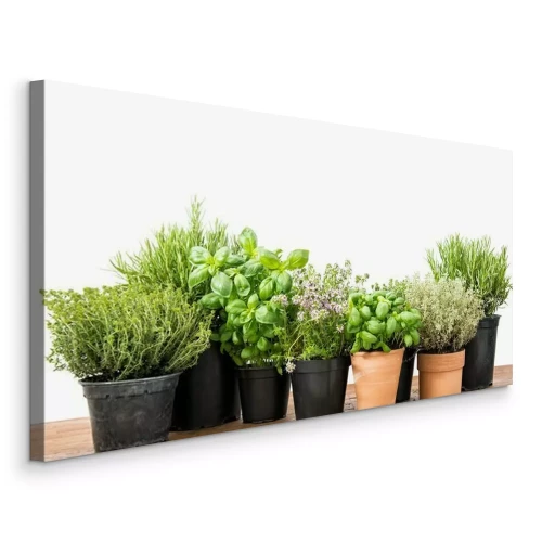 Tableau  Herbes aromatiques en pot basilic romarin et thym