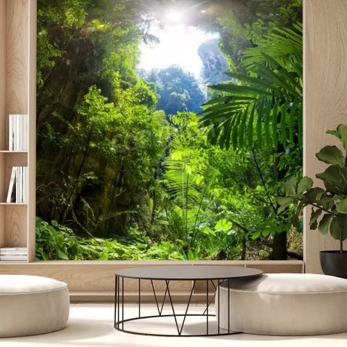 Papier peint  La lumière du jour dans une jungle